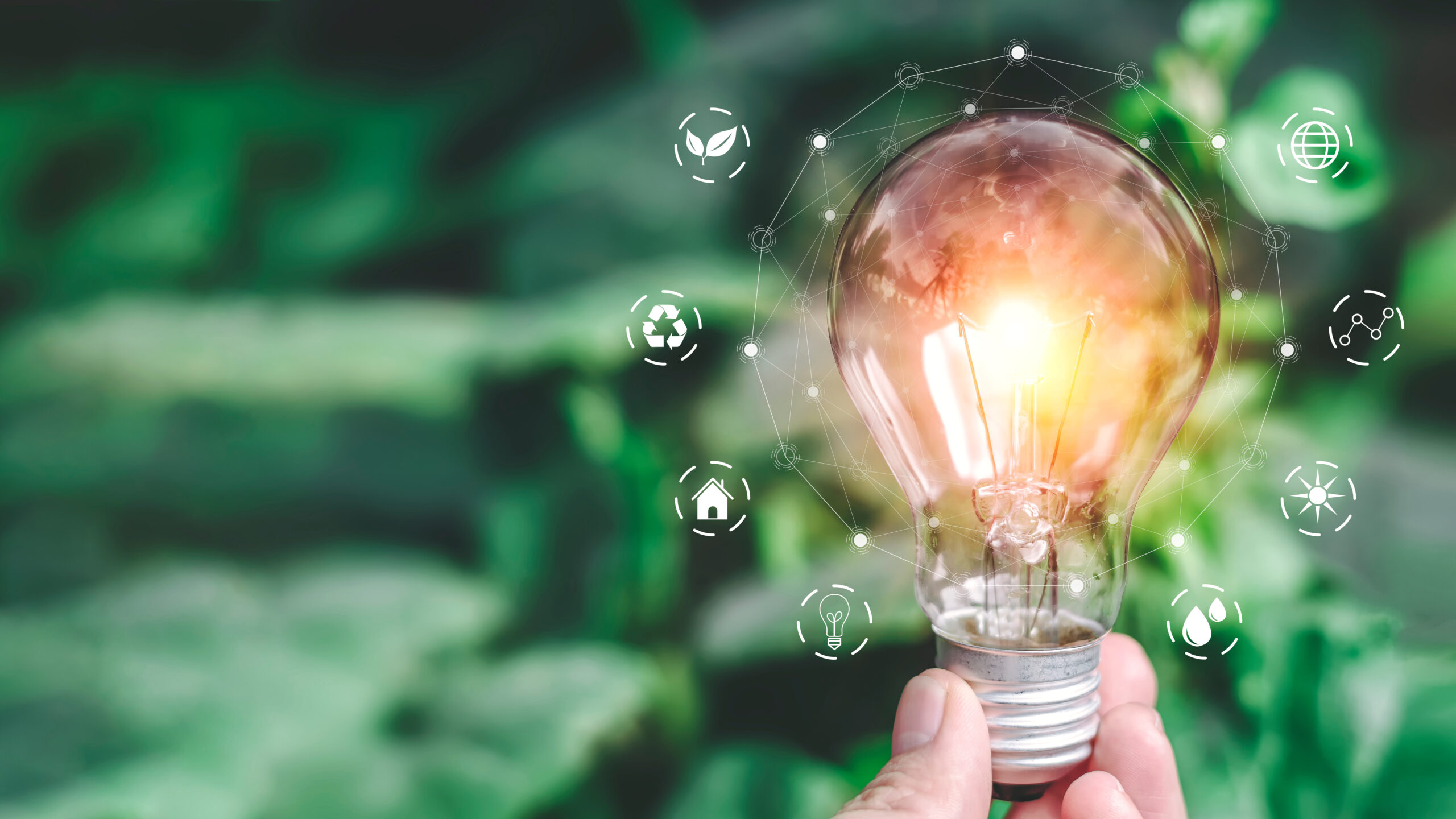 Rareté et compétition pour l’accès aux ressources face à la transition écologique : quels enjeux stratégiques pour les entreprises?